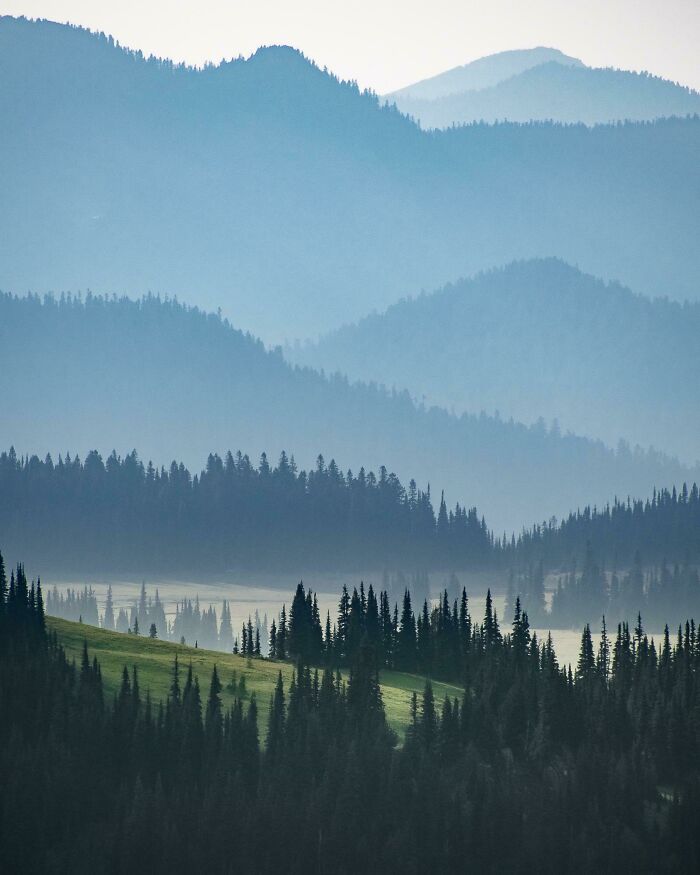Layers For Days At Mount Rainier National Park