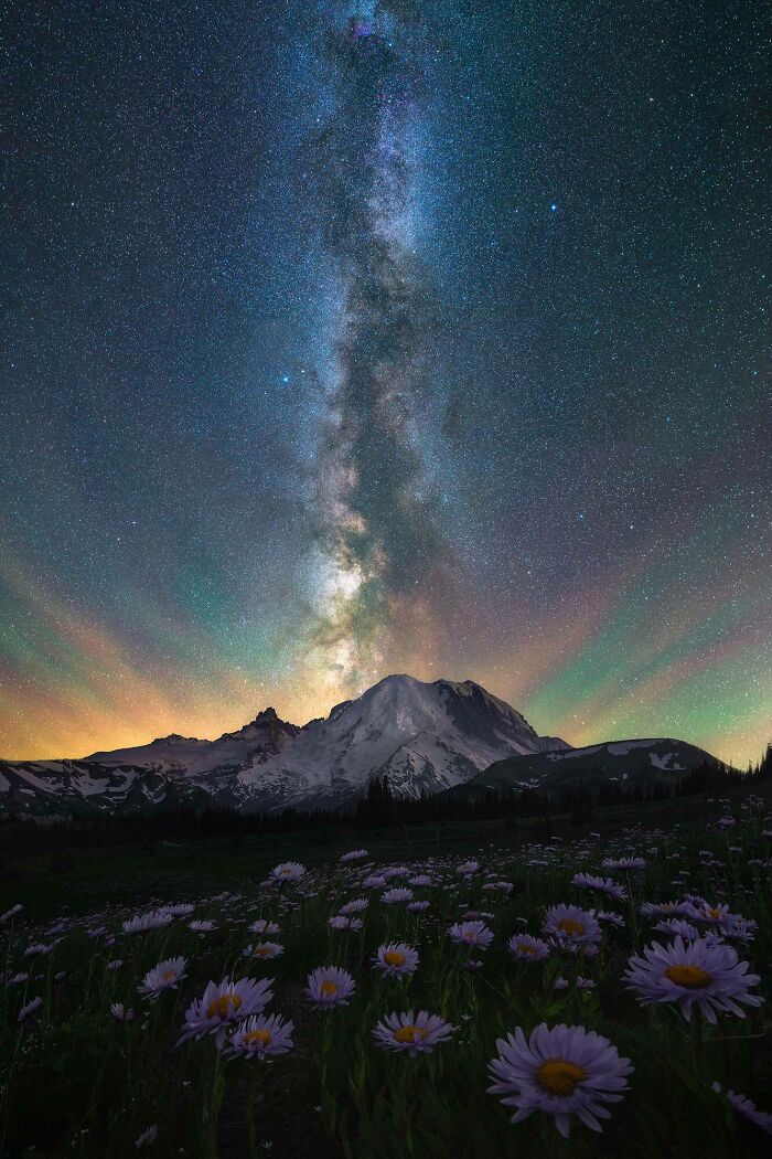 The Night Sky Over Mt Rainier And A Field Of Wildflowers 