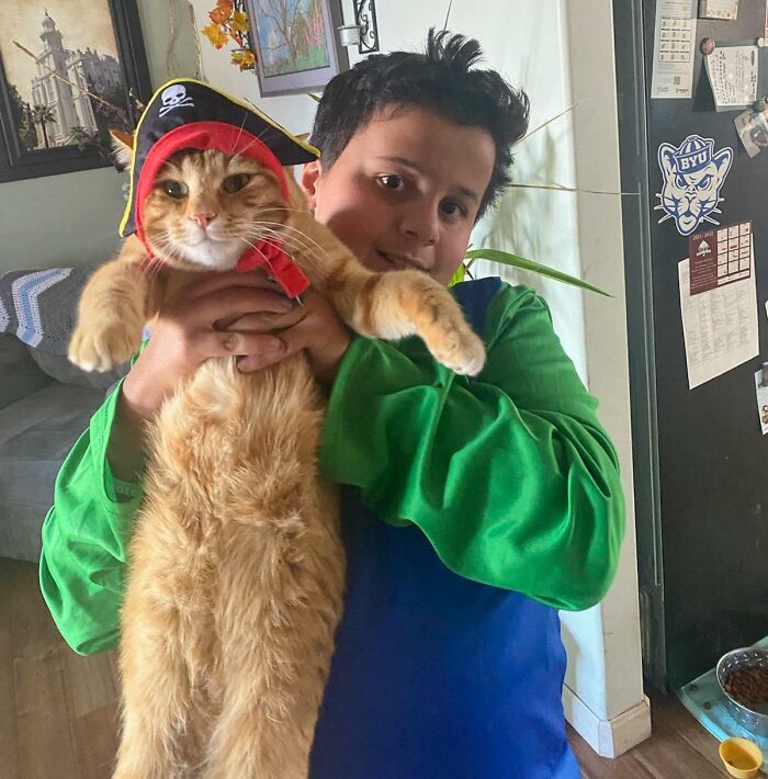 Nacho Is Giving Up His Brain Cells For The Day So He Doesn't Have To Remember This Injustice