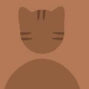 ivanahochstenbach avatar