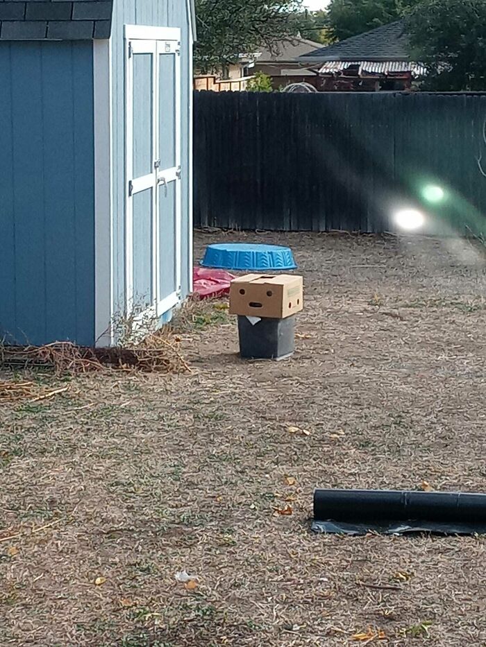 Found This Guy Creeping In My Back Yard