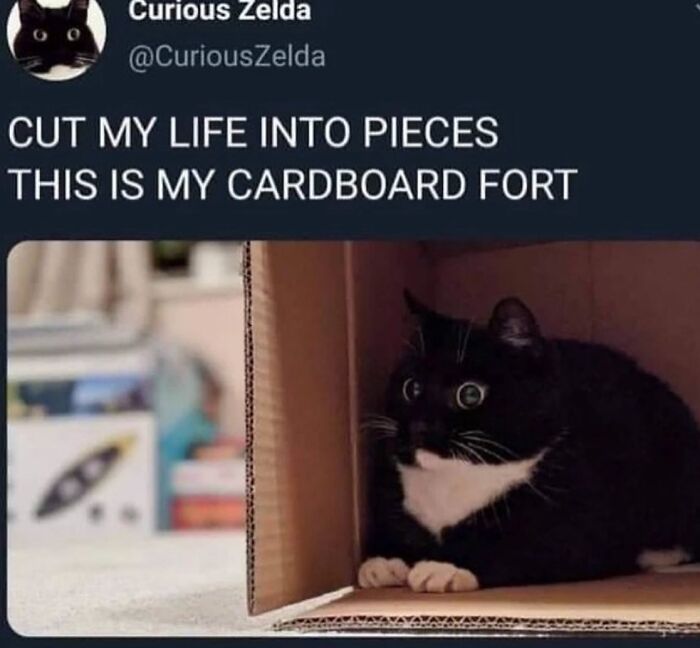 Memes-For-Mental-Health