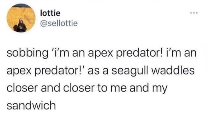 Memes-For-Mental-Health