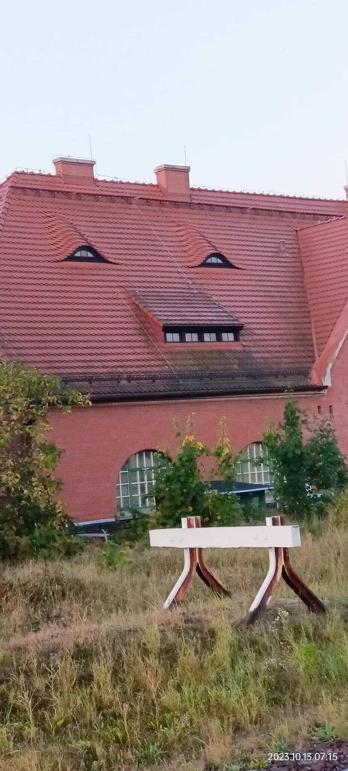 Сергей Цибизов