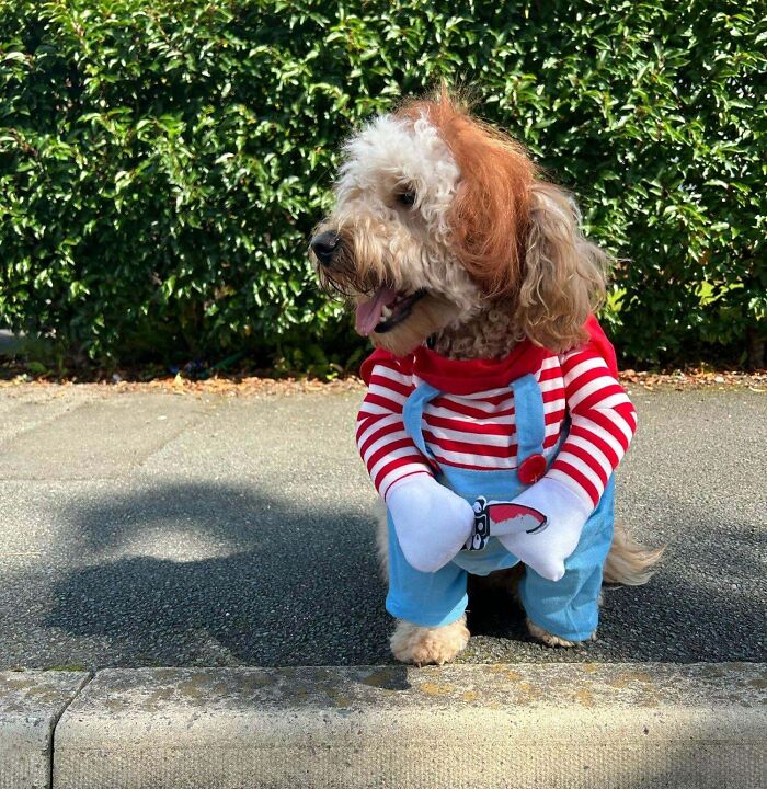 Lill Looks Ready For The Fight