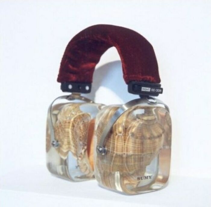 For Fans Of Sea Sounds