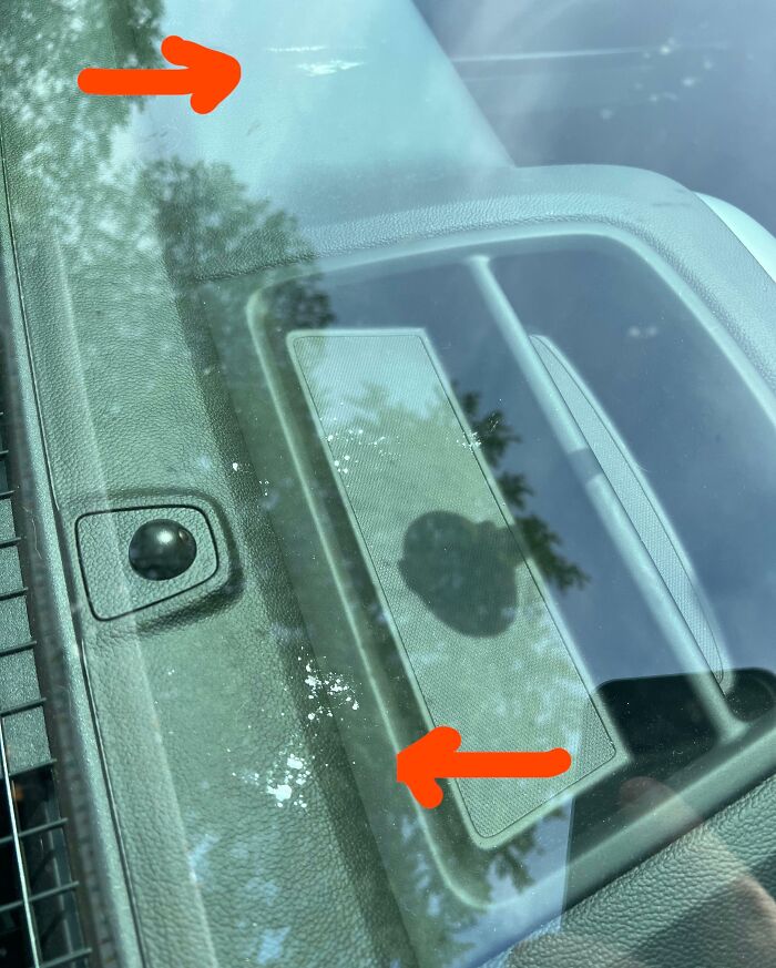 Someone Reported Me To HR For A Suspected Drug Use, Saying I Must Do Them In My Truck While At Work. HR Opened An Investigation. This Is Literally Powdered Sugar From The Fried Oreos