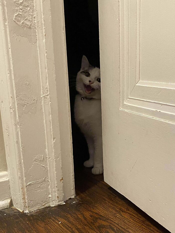 This Pic Of Jack Yelling Ended Up Looking Like A Horror Movie Poster