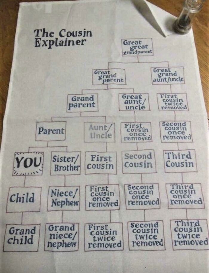 The Cousin Explainer