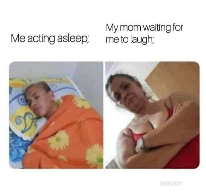 Hilarious-Brainy-Memes