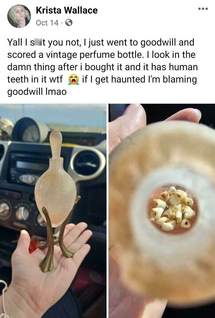 To Buy A Toothless Bottle From Goodwill