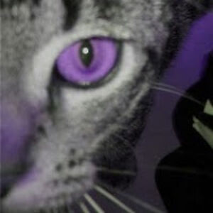 kat-reneekittel avatar