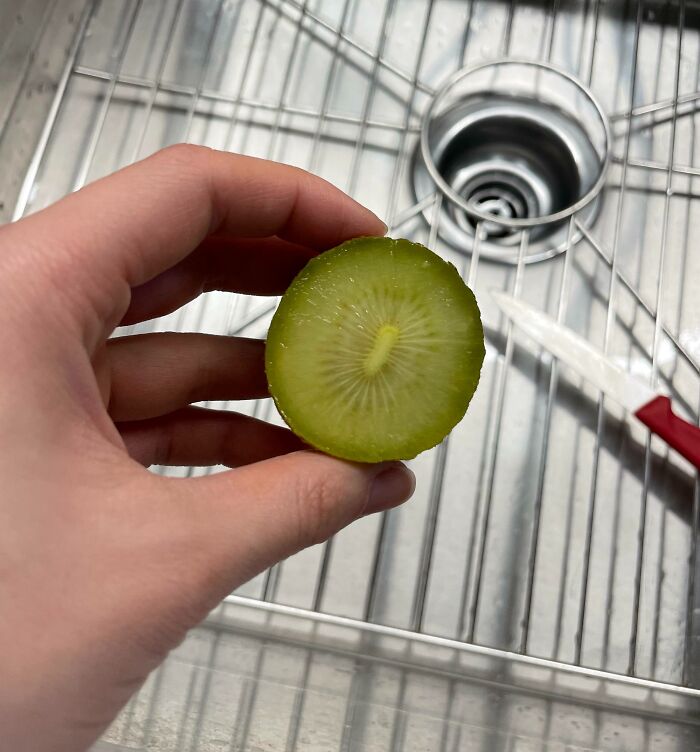 I Cut Open A Sungold Kiwi To Find It Has No Seeds