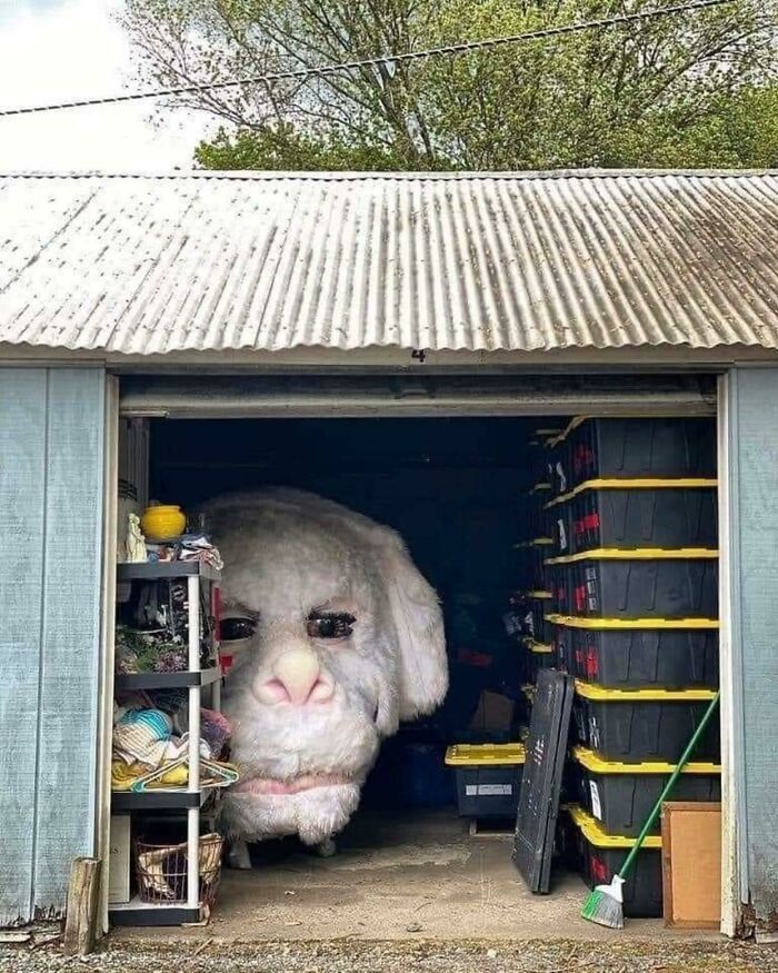 Falcor In His Retirement Home
