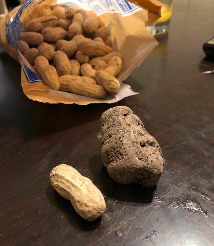 Found This Is In My Bag Of Peanuts Today