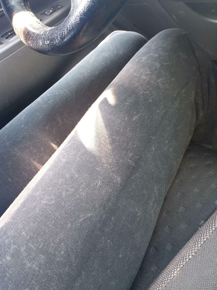 Estos leggings parecen llenos de pelo de gato