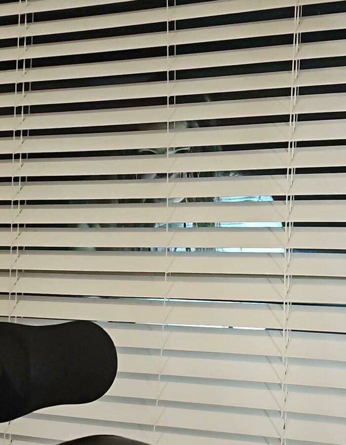 GF Taking The Dog Outside And The Amazon Solar Lights Illuminating Her Face