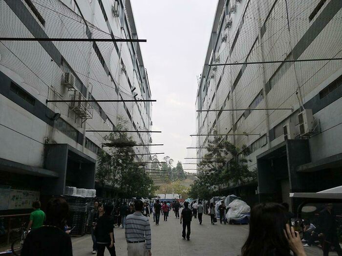 Foxconn "Antijump" Nets Designed To Keep Factory Workers From Ending Their Lives