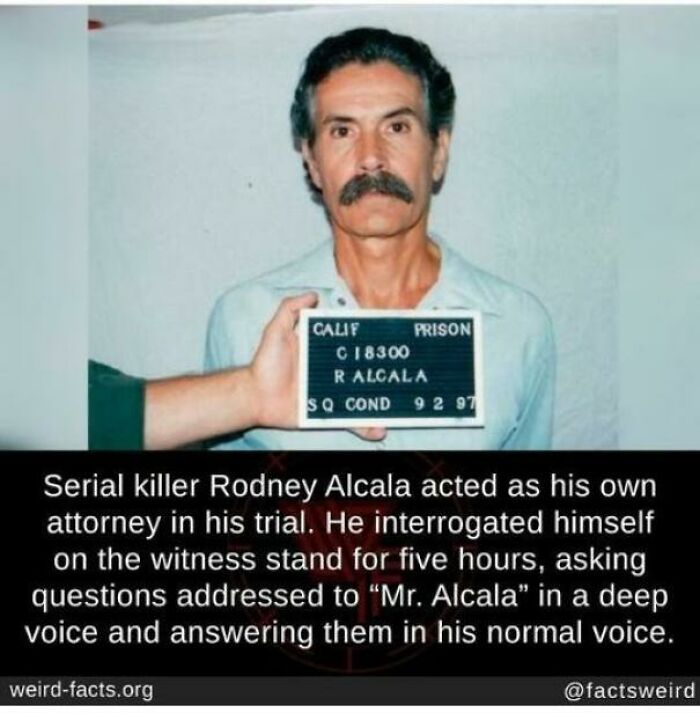 Whoa There, Buddy😬