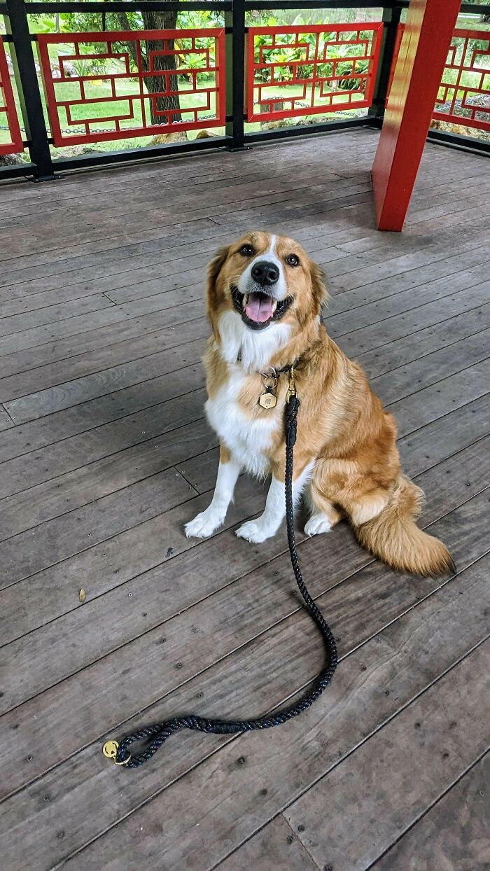 I Drove 4 Hours To Adopt This Girl From A Family Who Didn't Have Enough Time For Her