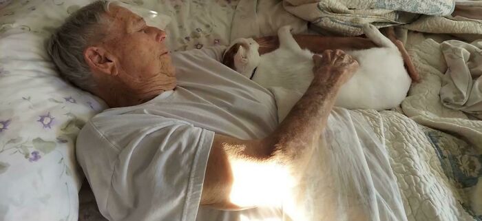 My Step-Mom Adopted A Cat For Her Elderly Parents. We Were Nervous Her Dad Wouldn’t Like Him…