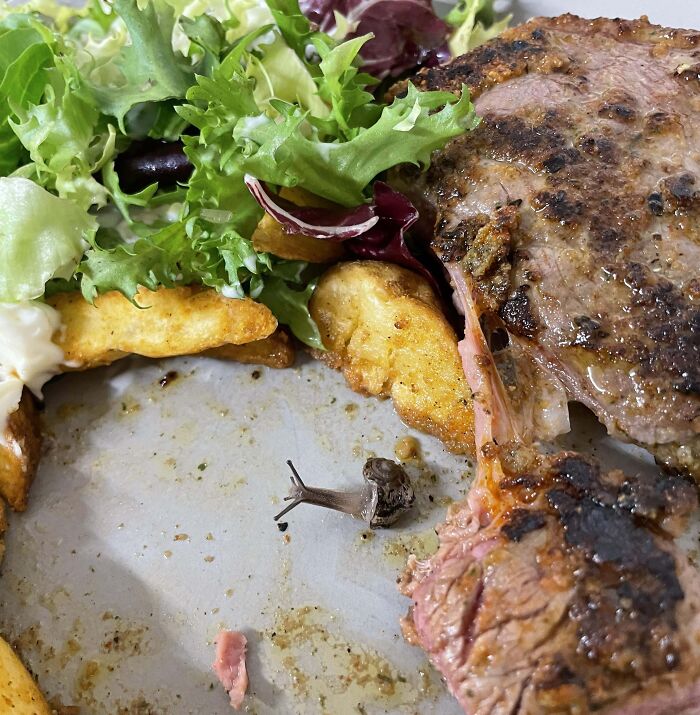 A Side That Wasn’t Expected