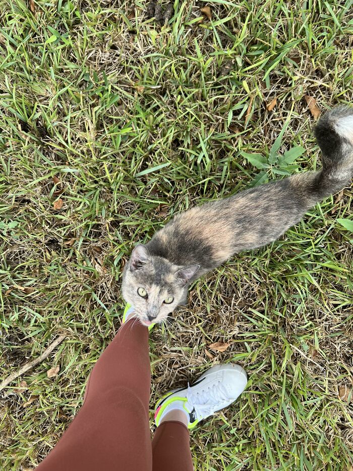 She Has No Idea We’re Officially Adopting Her Tomorrow