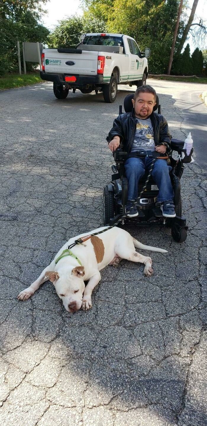 Adopted A 15yo Pupper. We Both Take Gabapentin For Arthritis And We're Both Partially Toothless