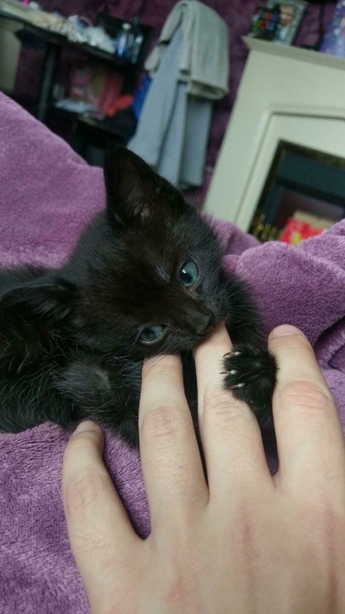 My Best Friend Adopted This Beautiful Little Girl, And She Wants To Name Her Anne, But I Think She Deserves Something More Original. Can You Help Me?