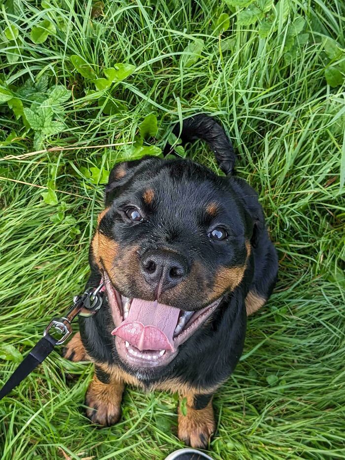 I Just Adopted This Character What Should I Call Him??