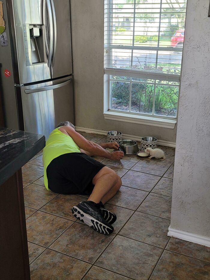 "No We're Going To Put Her Up For Adoption When She's Old Enough, We Already Have A Cat"