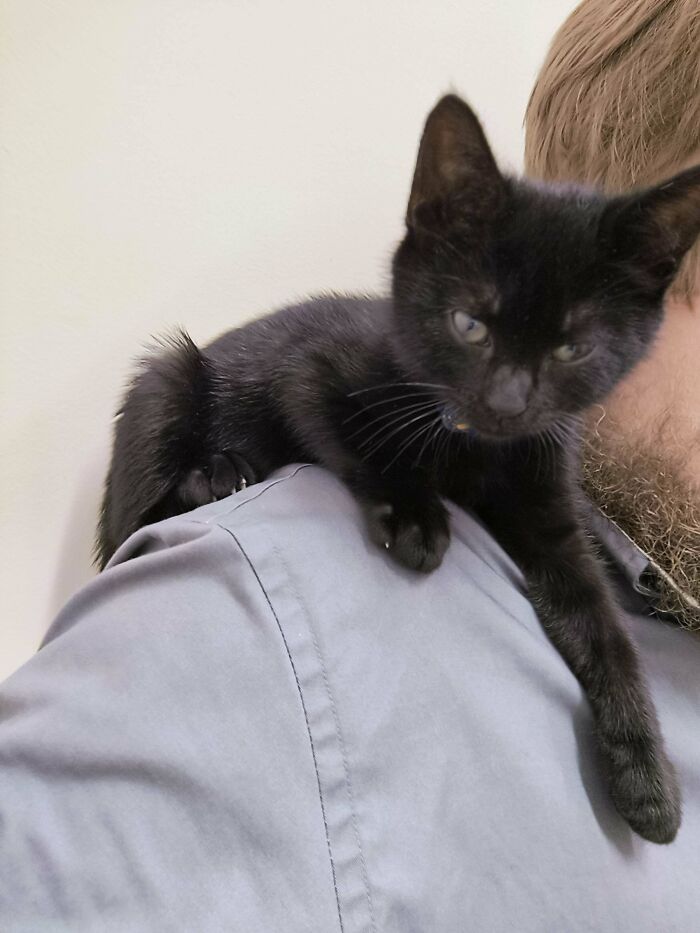 Wife And I Got Got By The Cat Distribution System