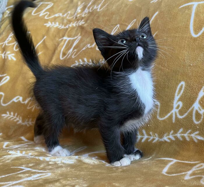 She Thinks She’s A Cutie Poo 🥰