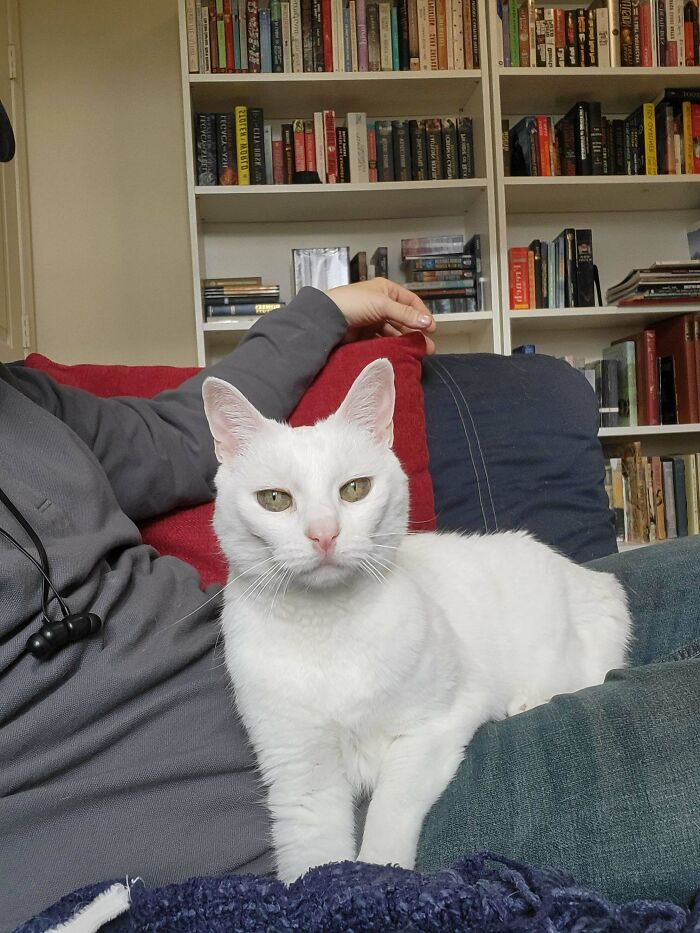 Just Adopted This 11 Year Old Love Bug