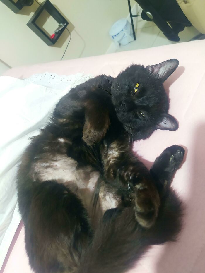 Updating The Situation, He Has Now Officially Adopted Us, Won't Need To Go Back To The Street🥰