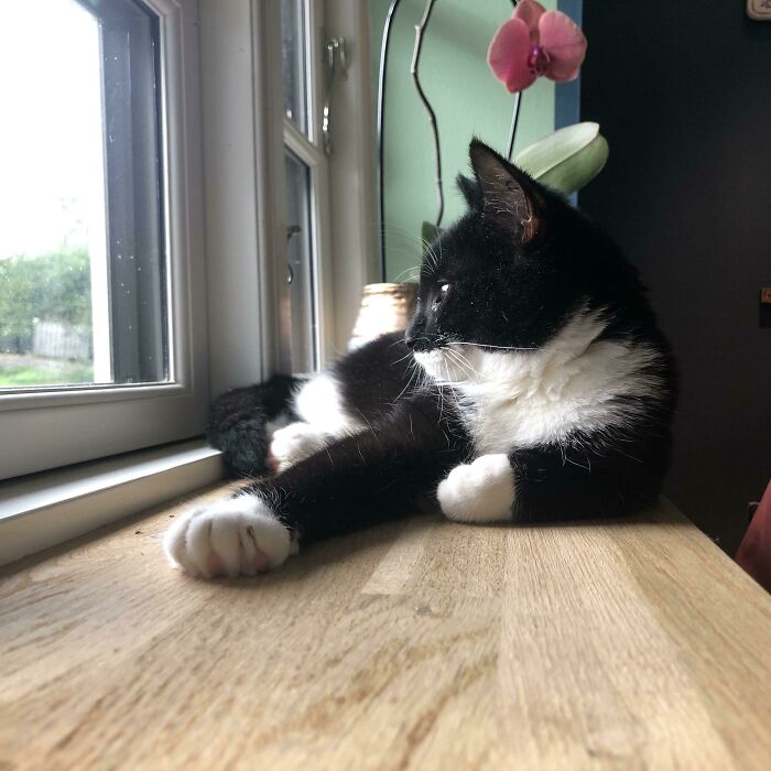 My BF And I Just Adopted Amanda - Best Decision Ever ... So Cute!