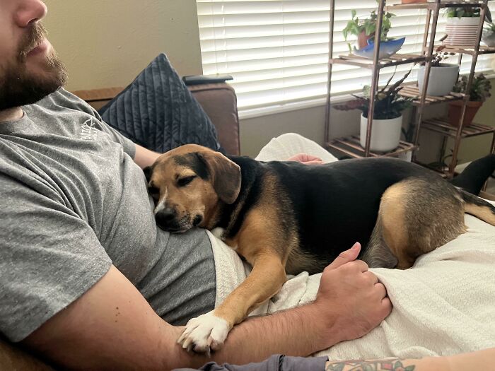 Our Little Rescue Bagel 🥯