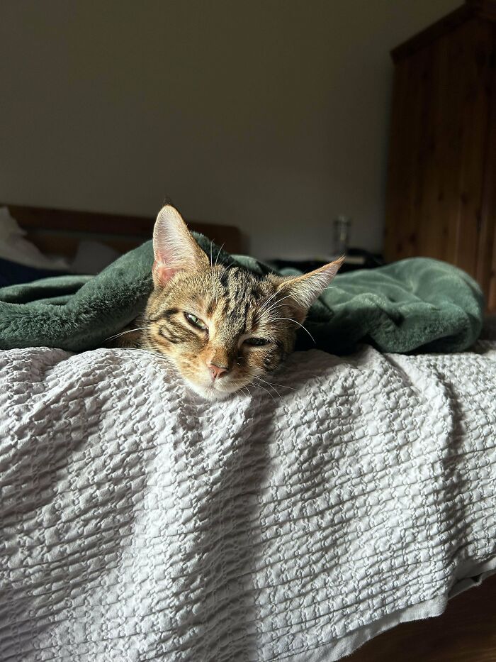 Recently Adopted This Beauty