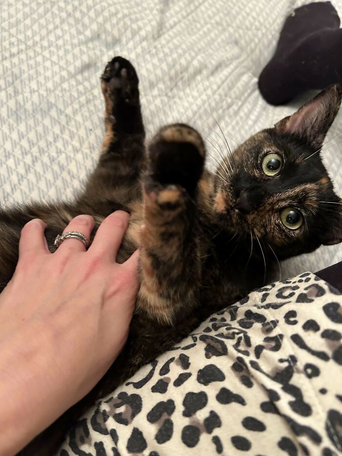 Introducing…autumn!