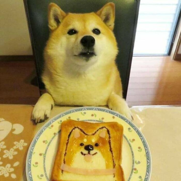 He Looks So Happy With Their Pop Tart