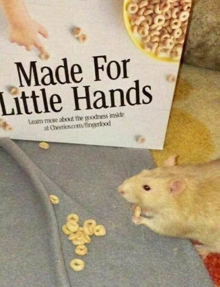 I Will Just Leave This Here