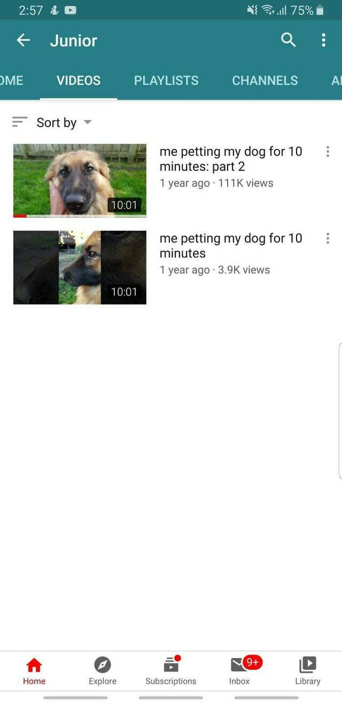 This Is The Best Series Ever