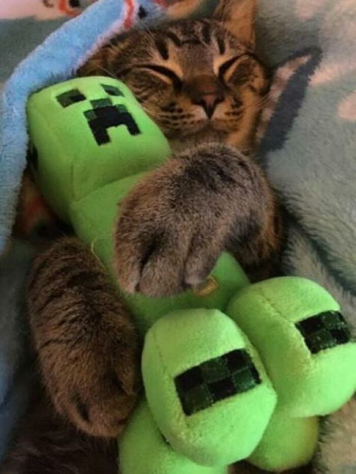 That's Illegally Cute