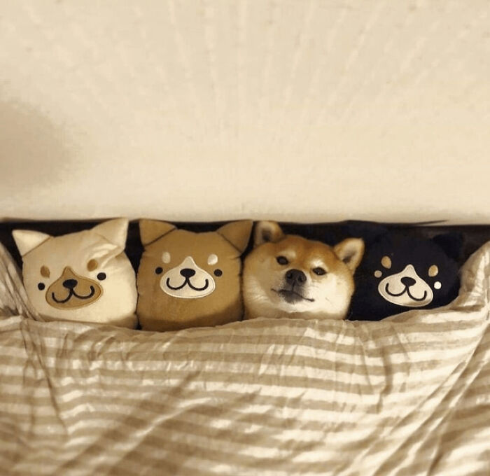 Bendita la hora de dormir