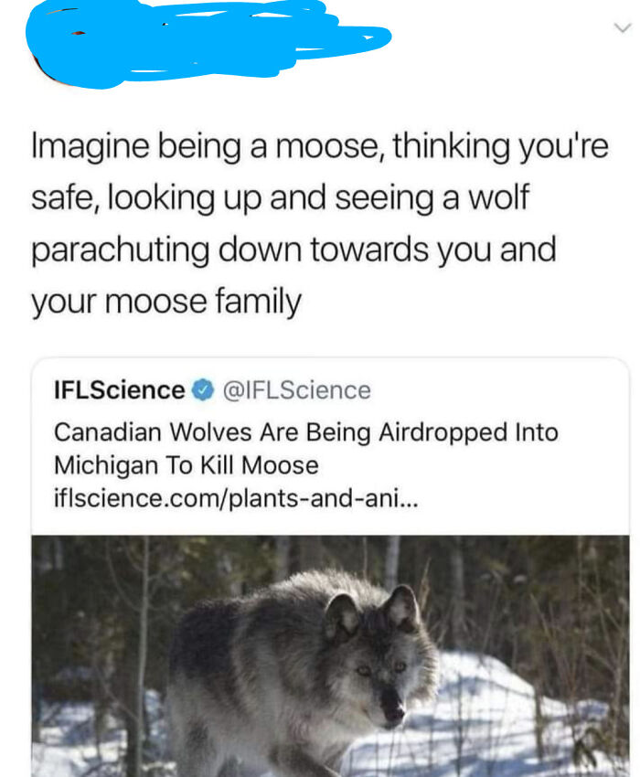 Air Dropped Wolves. That Is All