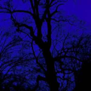 divyapurushothaman avatar