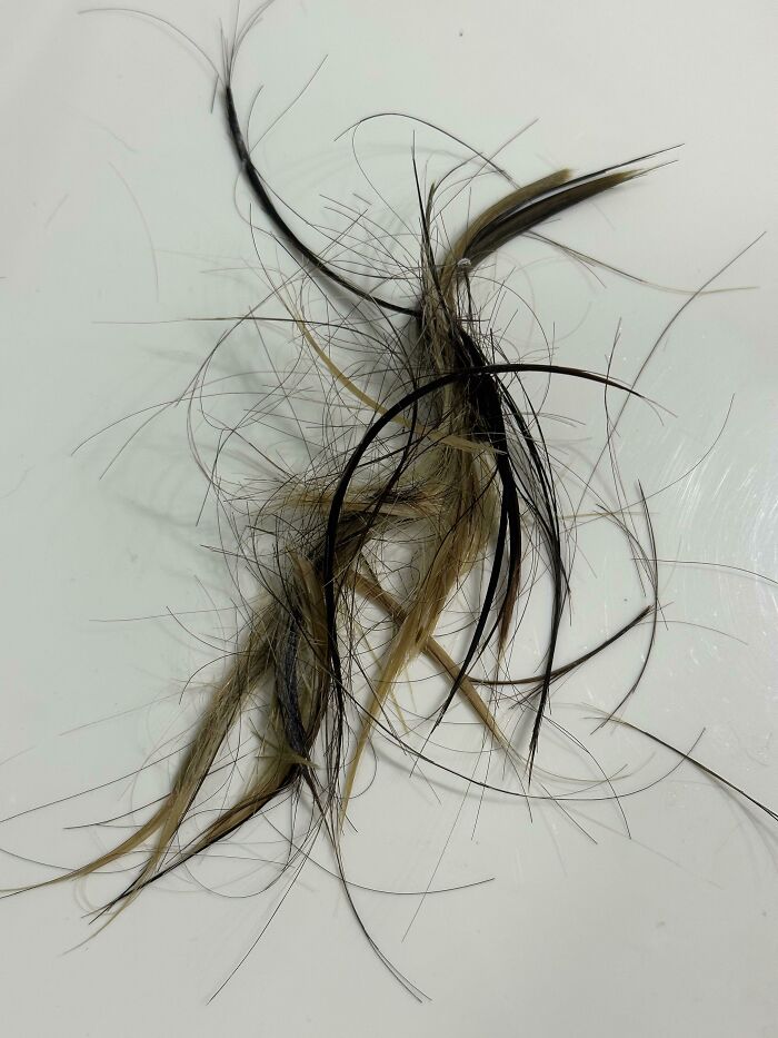 Same Daughter Who Laughed At Idiot Kids On TikTok Cutting Bangs And Crying… Cut Her Bangs Just Now. And Cried. And Cried