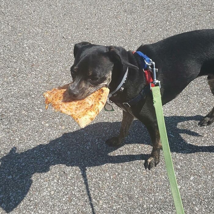 Things You Find On A Walk