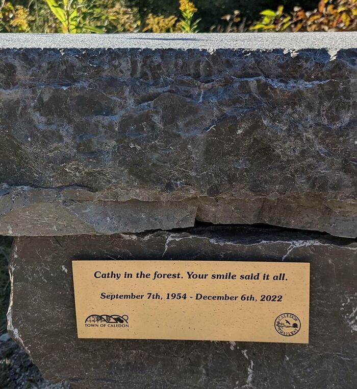 I Found A Park Bench In Memory Of Someone That Isn't Dead Yet