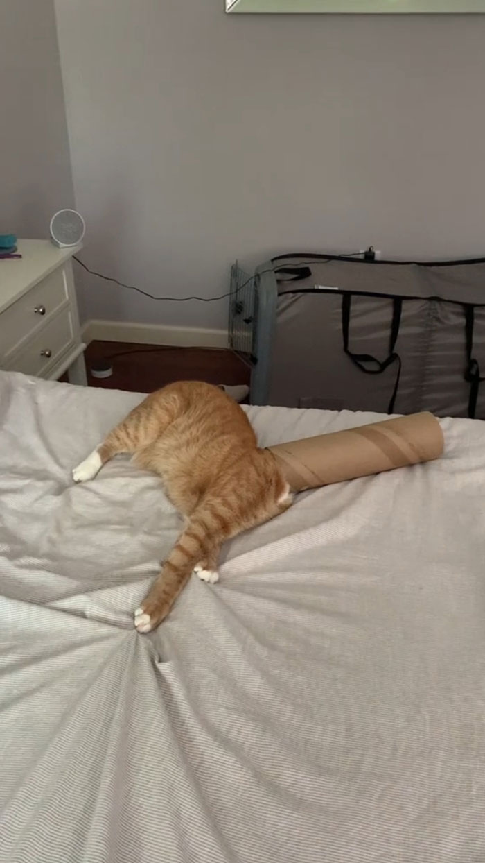 An Old Video But This Audio Just Captures The Moment